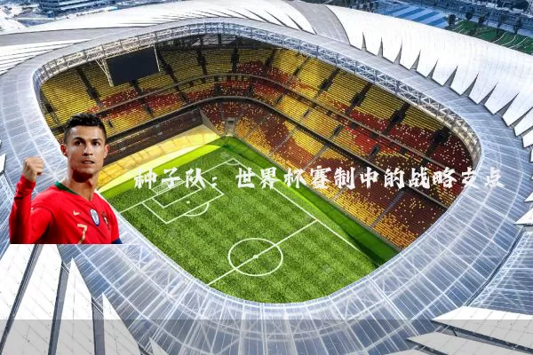 种子队：世界杯赛制中的战略支点